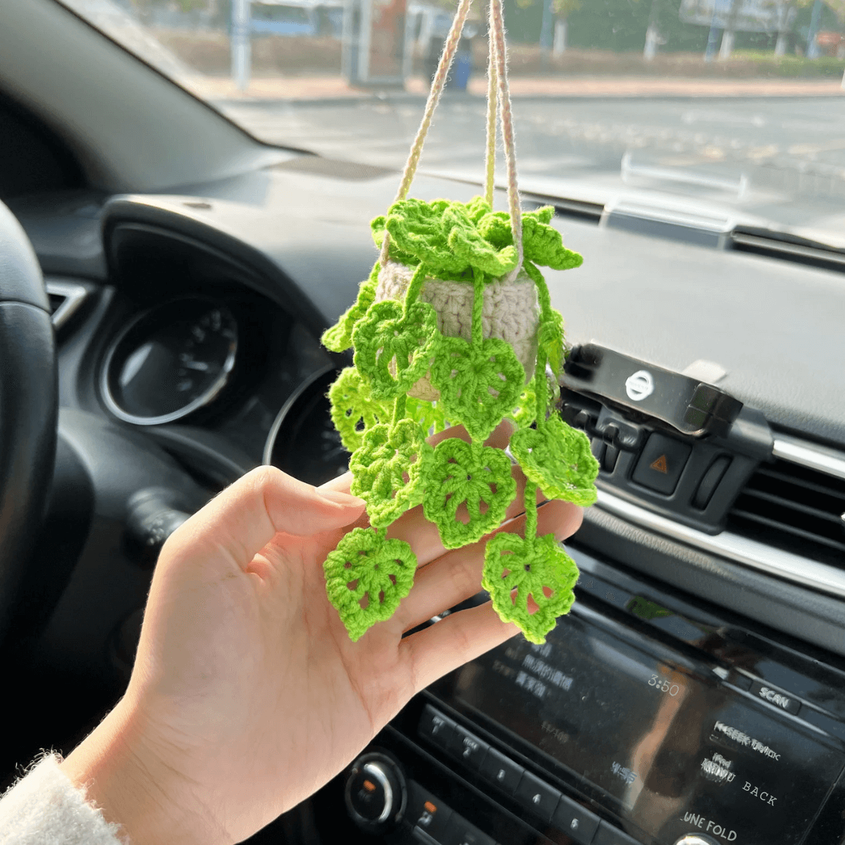 succulents in car Car Plants, Succulent Car Plant Decor