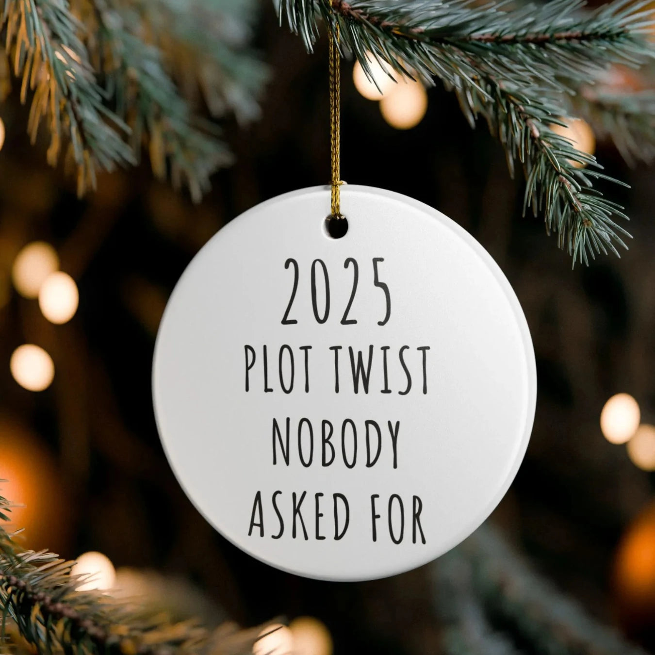 Funny 2025 Christmas Ornament