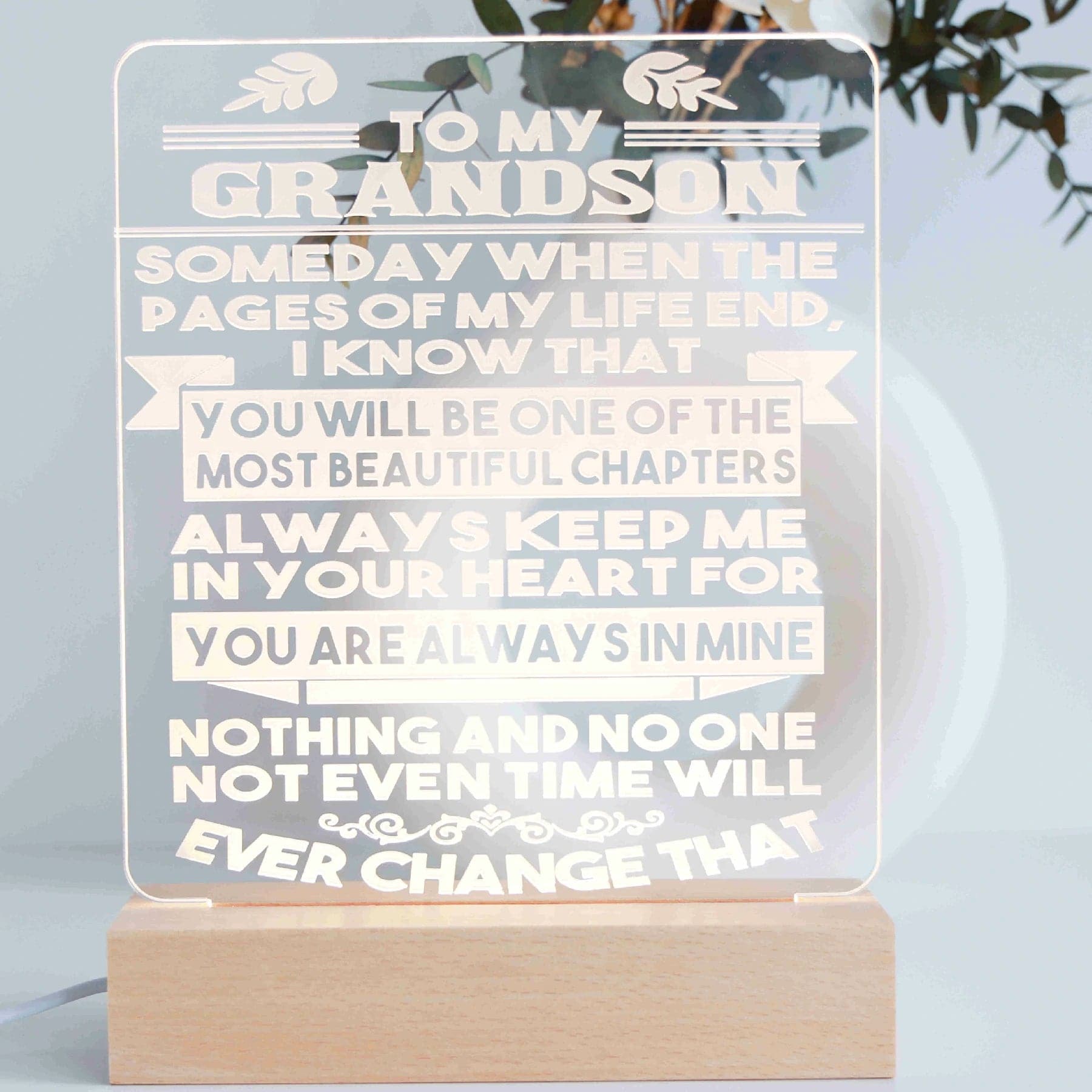 To my grandson night light
