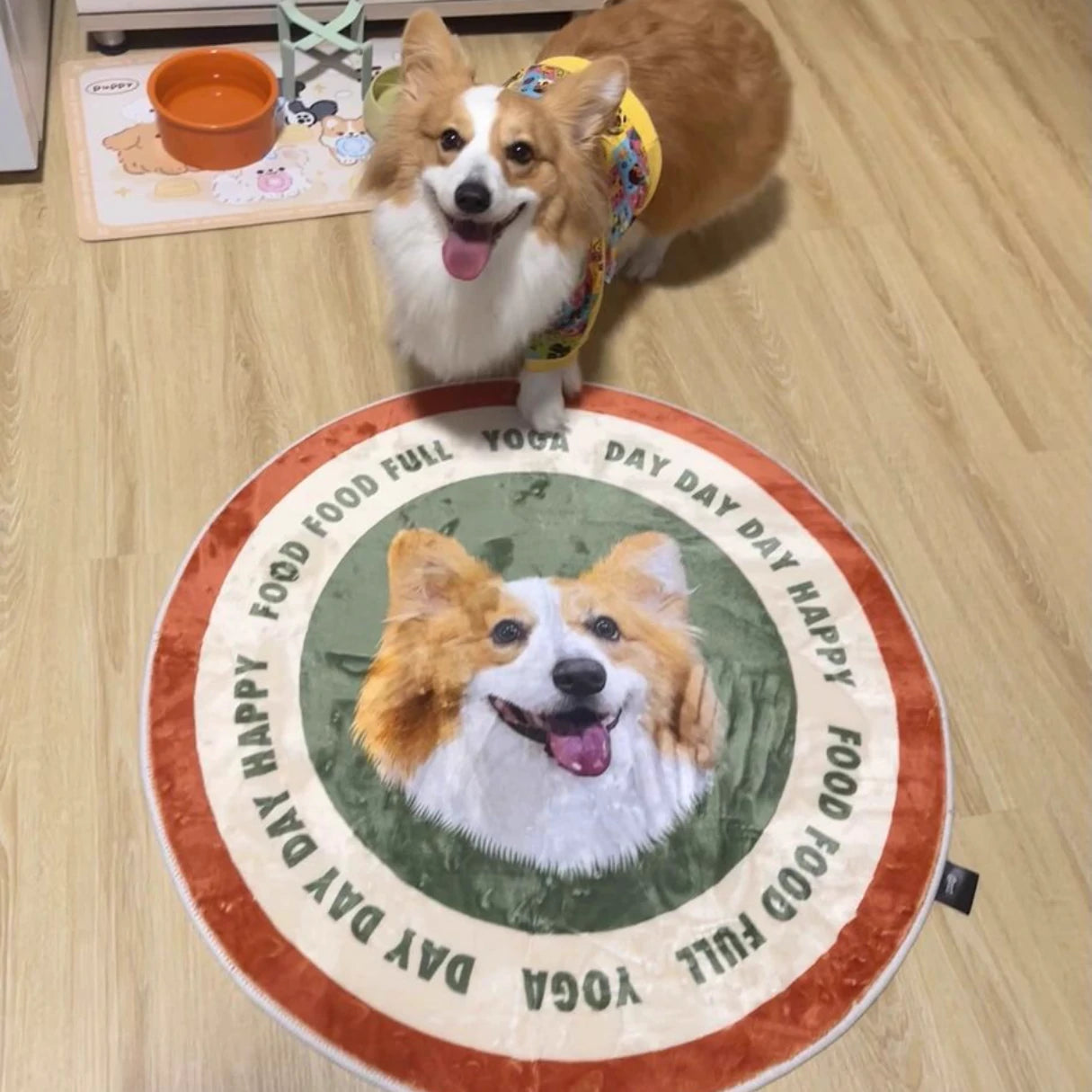 Custom Pet Face Mat – Hand-Sketched Personalized Dog & Cat Rug