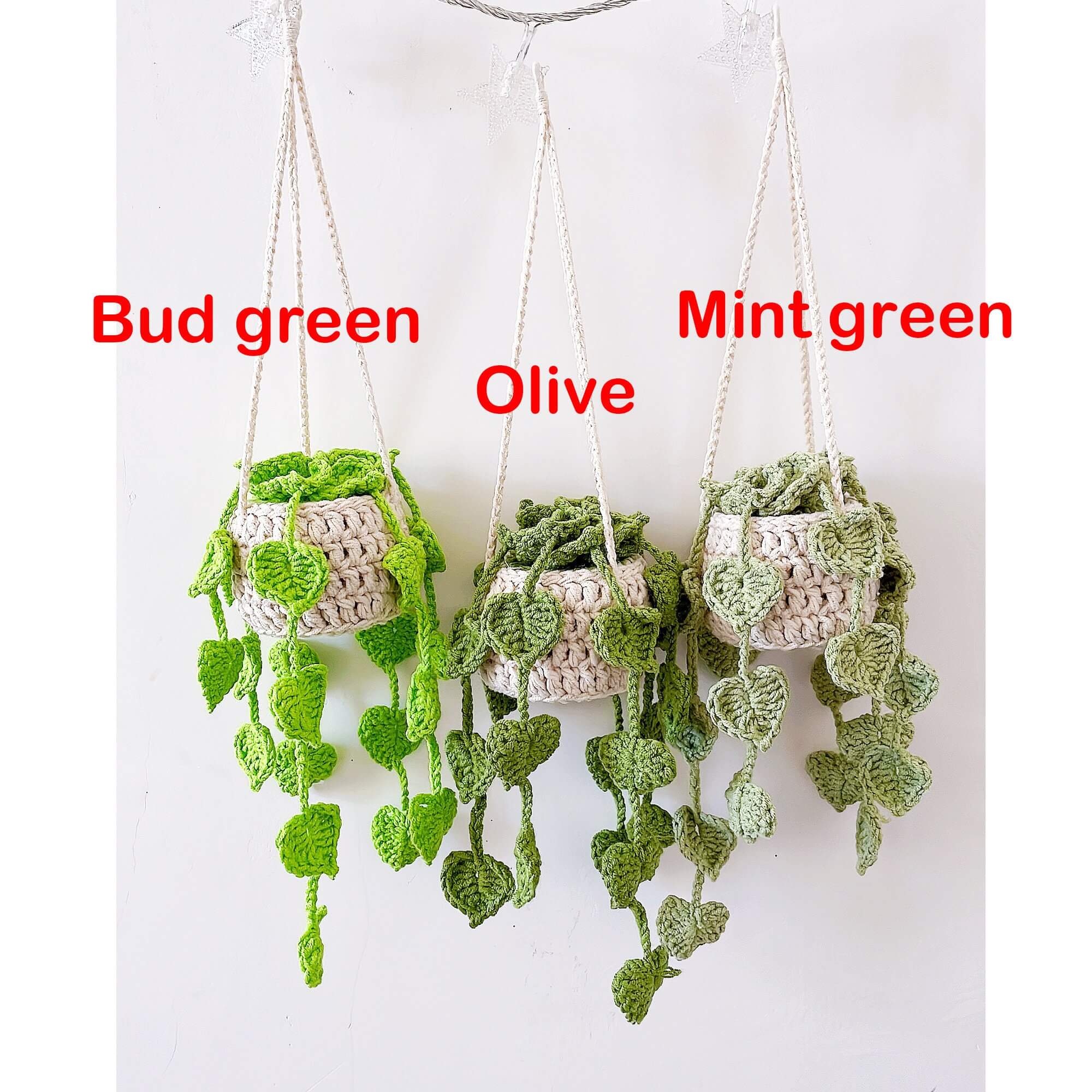 Car Plants, Succulent Car Plant Decor