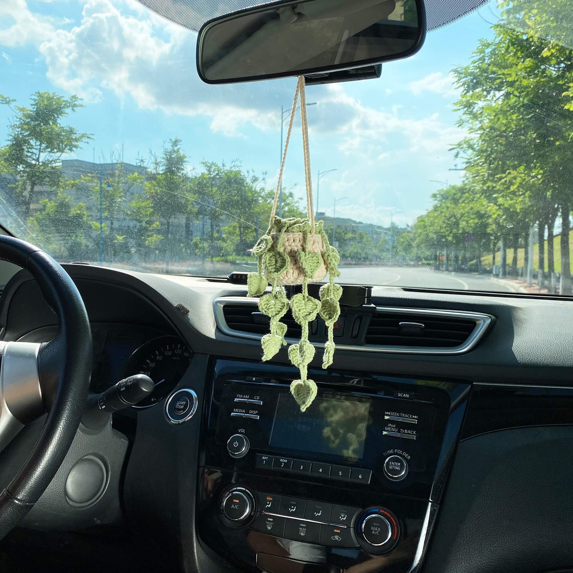 succulents for car Car Plants, Succulent Car Plant Decor