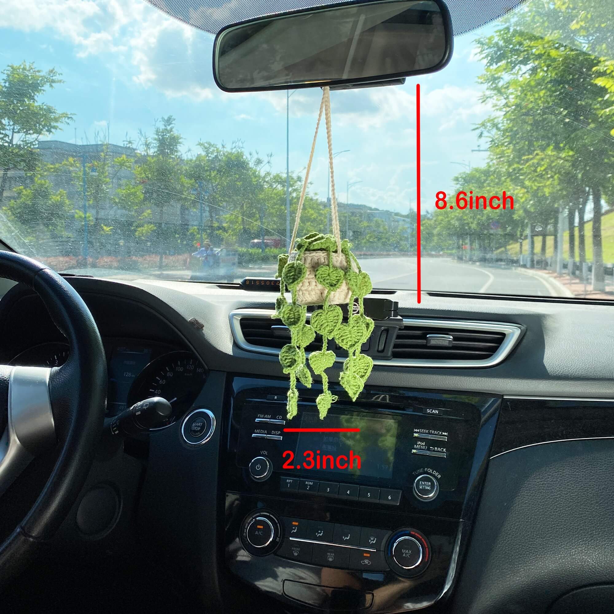 Car Plants, Succulent Car Plant Decor