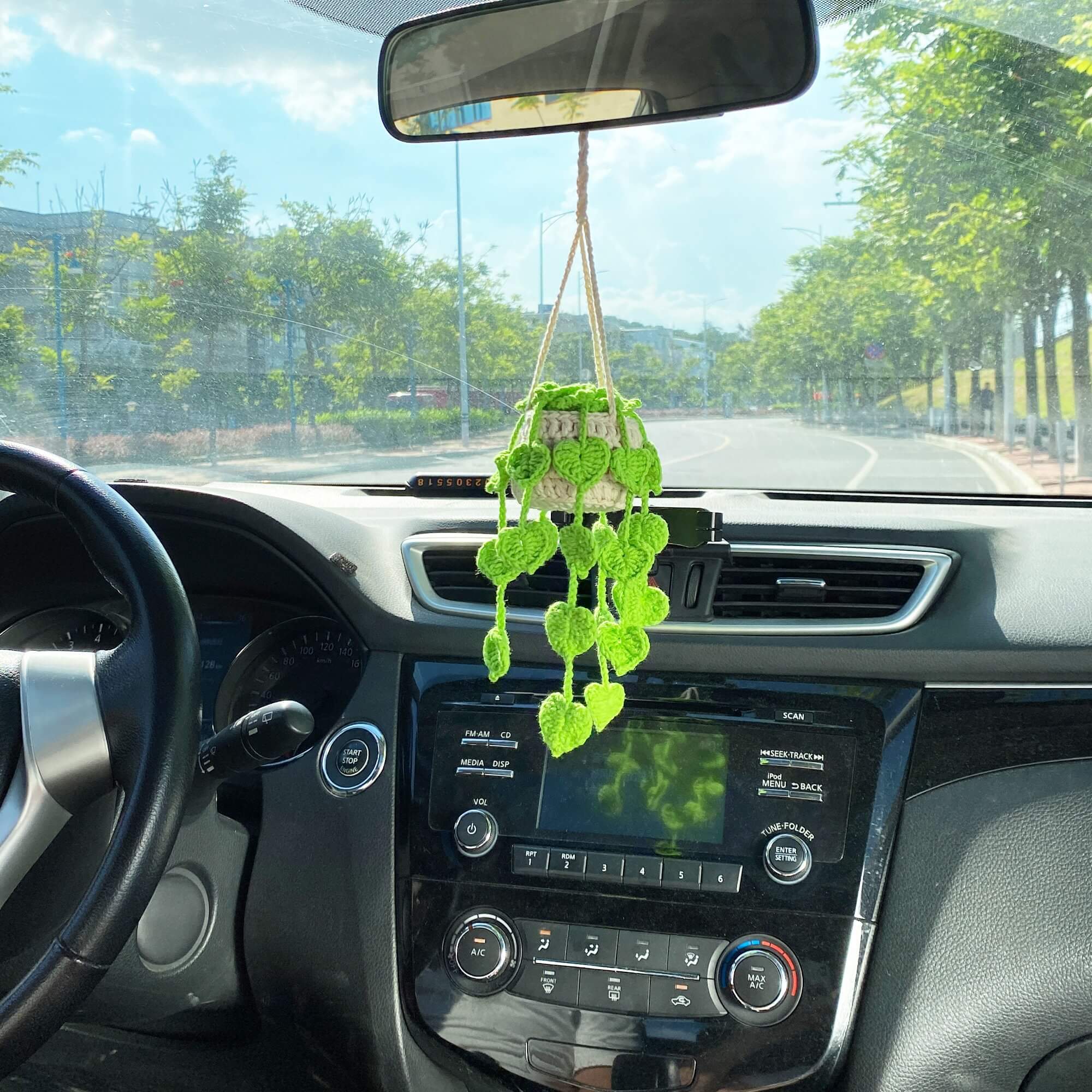 succulent car decoration Car Plants, Succulent Car Plant Decor
