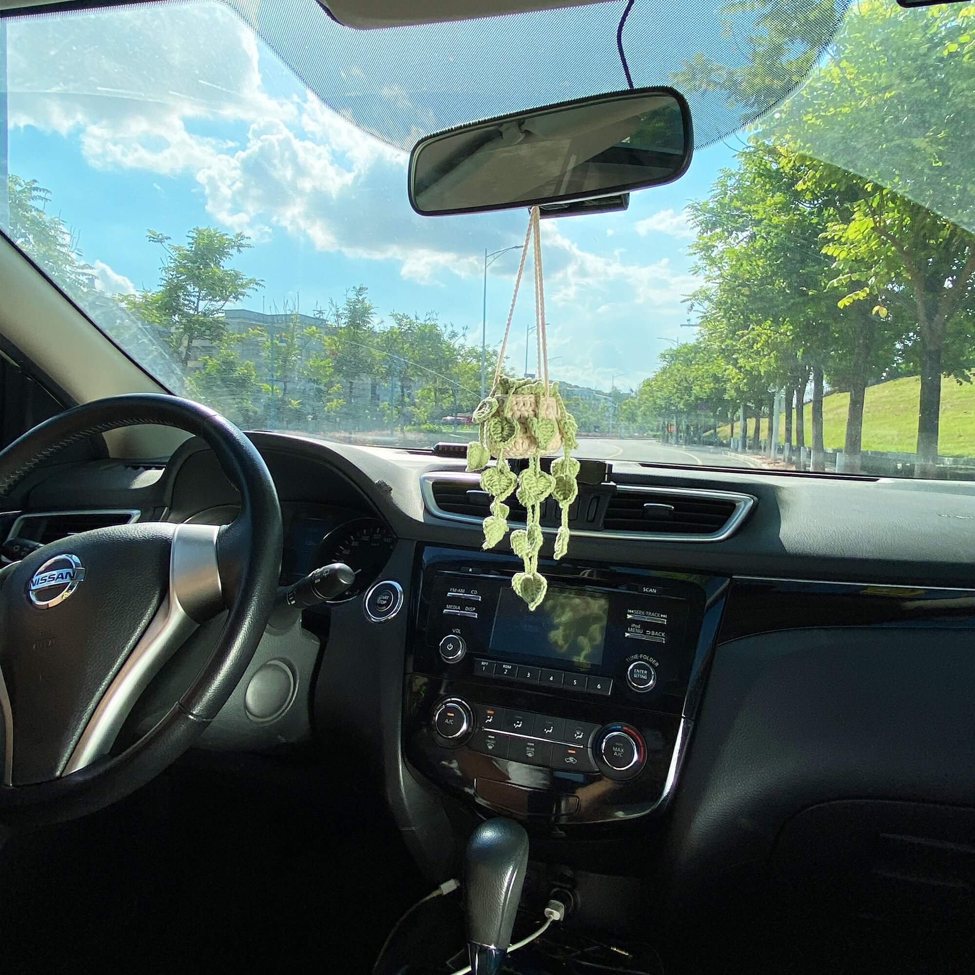succulent car decor Car Plants, Succulent Car Plant Decor