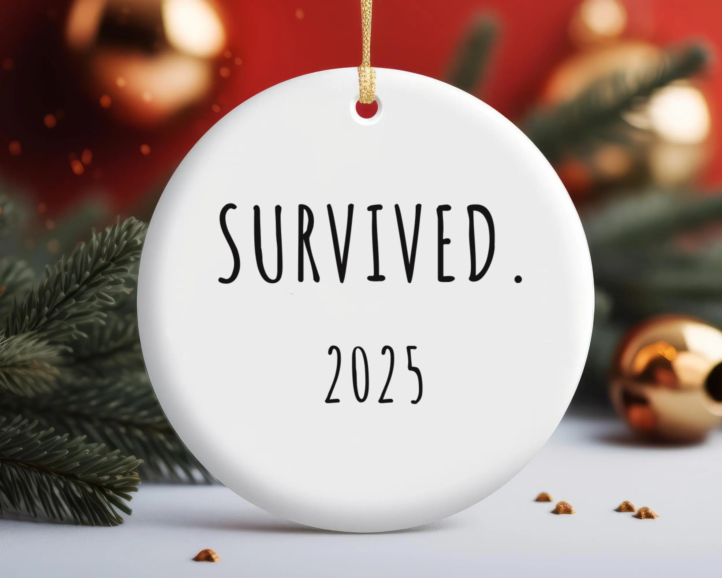 Funny 2025 Christmas Ornament