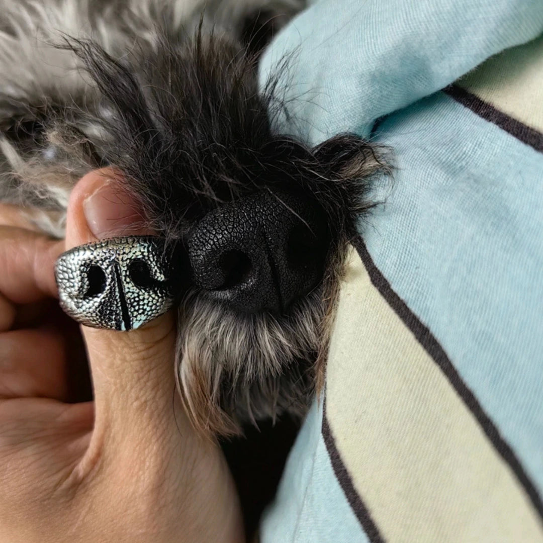 “The Nose Knows” – Adjustable Dog Nose Ring