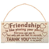 Friendship Christmas Ornaments